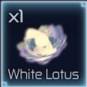 Vit Lotus