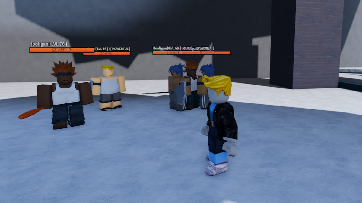 The Hooligans NPC i AUT