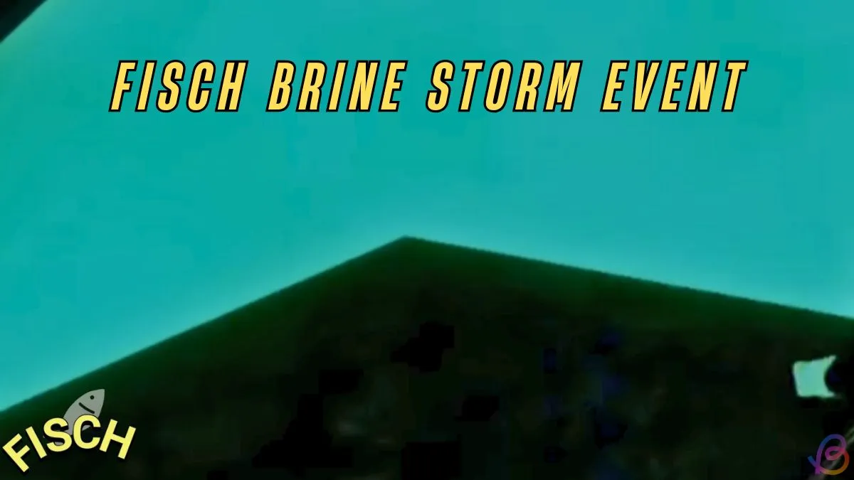 Fisch Brine Storm Guide: Eventtips & Tricks